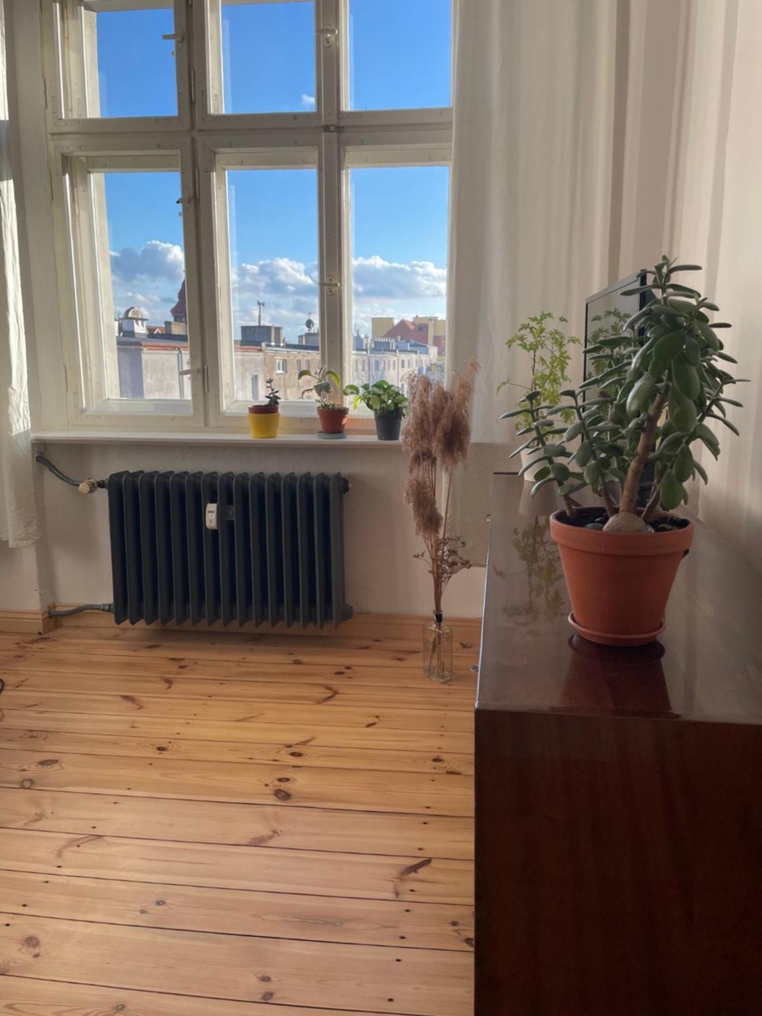 Sentymenty - Apartamenty W Kamienicy Na Mickiewicza Thorn Exterior foto